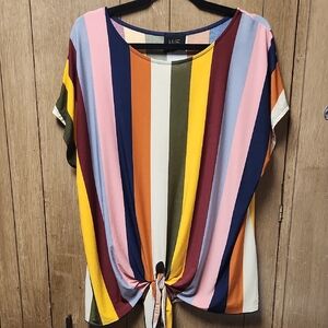 W5 Multicolor Striped Short Sleeve Top